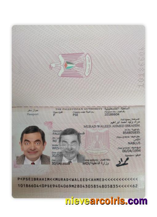 Palestine passport 2023-present